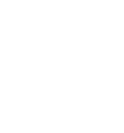 NextPanelLogo